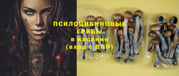 мдпв Тайга