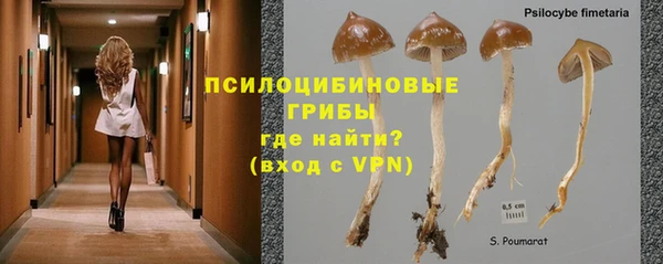мдпв Тайга