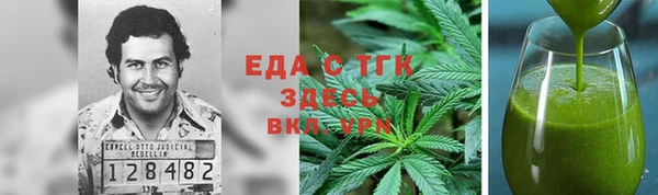 гашик Тавда