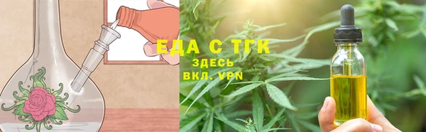 гашик Тавда