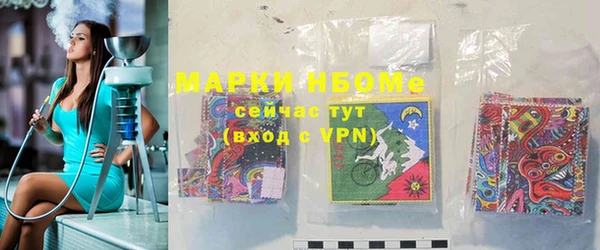 молекула духа Сясьстрой