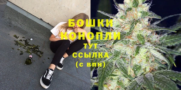 мдпв Тайга