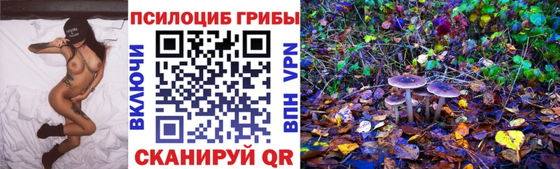 Псилоцибиновые грибы прущие грибы Донской