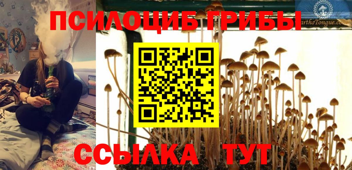 Псилоцибиновые грибы MAGIC MUSHROOMS  Вход с VPN  Донской 