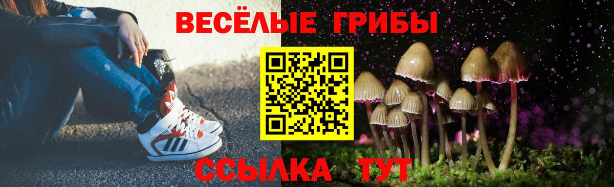 Галлюциногенные грибы Psilocybe Донской